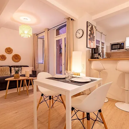 Apartment Cocoon With Beautiful Terrace Toulouse